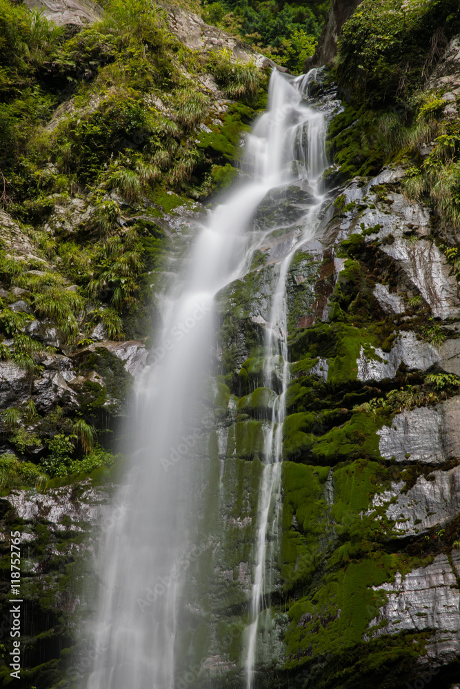 Fototapeta premium 滝と新緑（愛媛県西条市銚子の滝）
