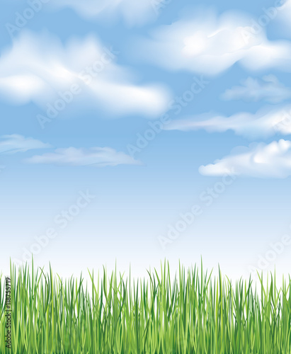 Blue sky with clouds and grass. Vector spring background. Countryside meadow landscape