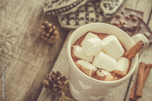 Hot chocolate with marshmallow and cinnamon
