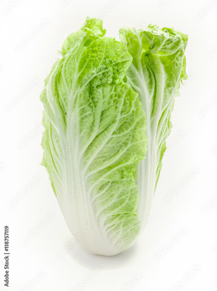 Fototapeta fresh chinese cabbage