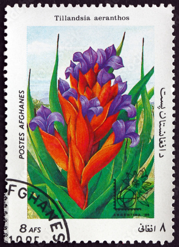 Postage stamp Afghanistan 1985 Tillandsia Aeranthos, Plant photo