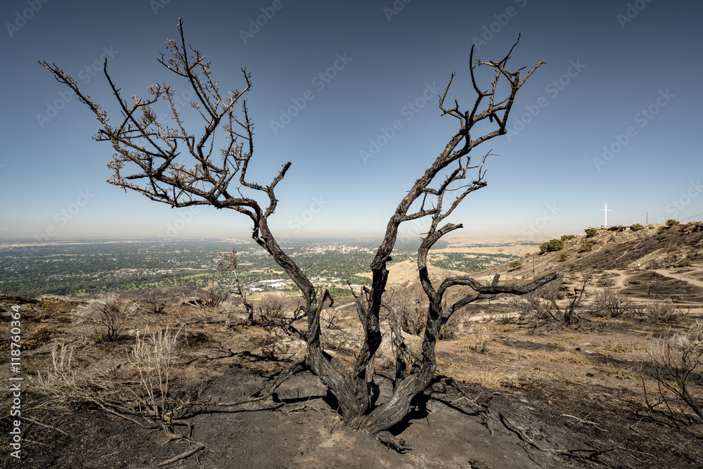 Risge fire and burned brush over Boise Idaho Risge fire and burned brush over Boise Idaho