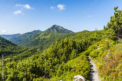 Path in the mountains.