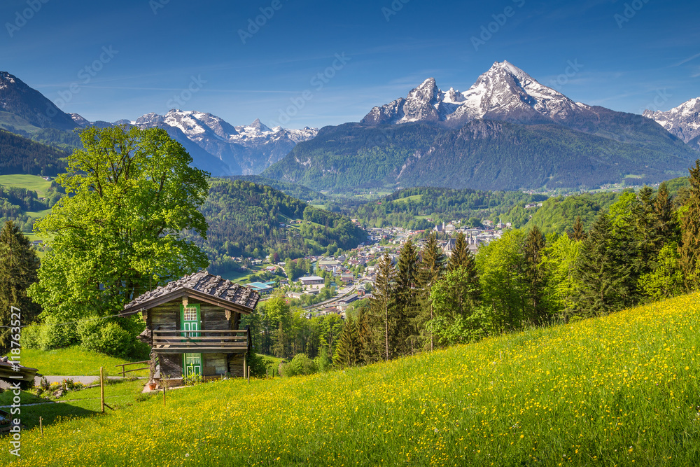 Alpine scenery with traditional mountain chalet in summer