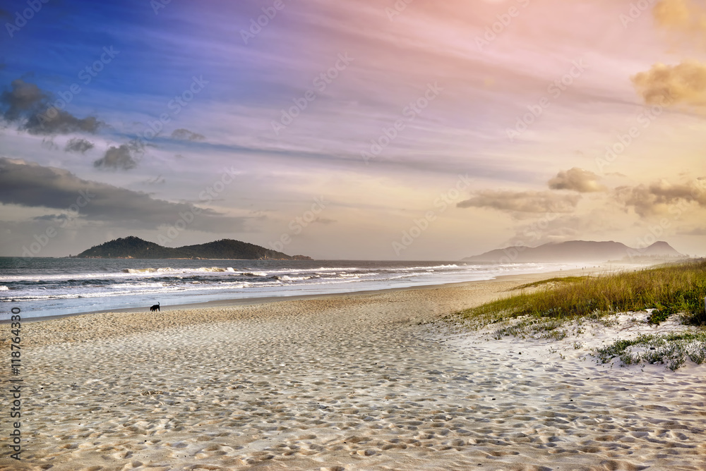 Beautiful scenic beach view at sunset. Beach panorama. Beach lan Beautiful scenic beach view at sunset. Beach panorama. Beach lan