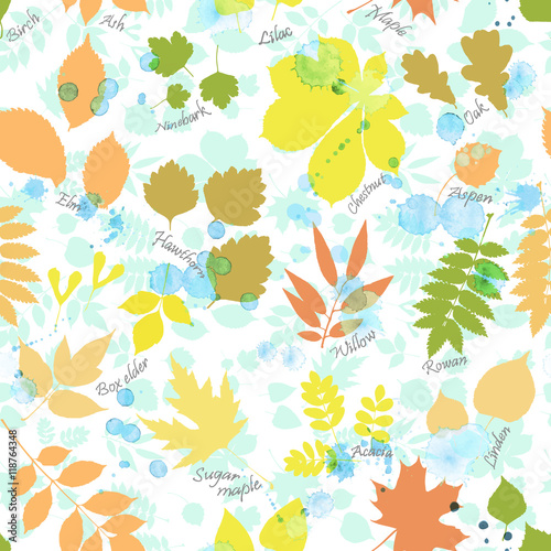 Vector seamless pattern of autumn multicolored leaves silhouettes and rain drops. Linden, ash, oak, maple, box elder, hawthorn, chestnut, birch, elm, willow, aspen, acacia, rowan, lilac, rowan