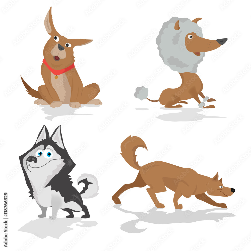 Obraz premium Funny dogs of various breeds standing in side view set isolated on white