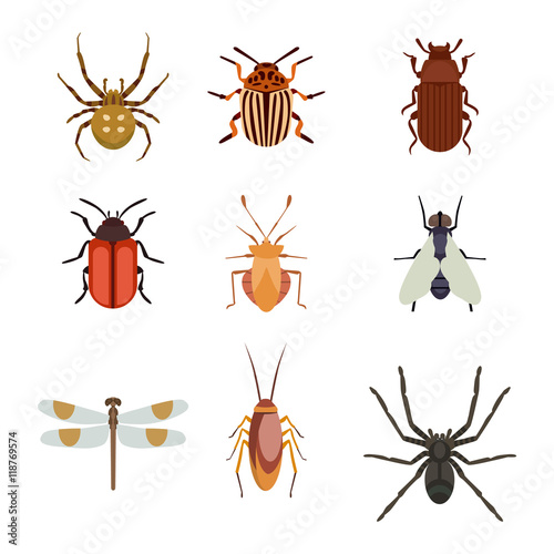 Insect icons flat set isolated on white background © partyvector