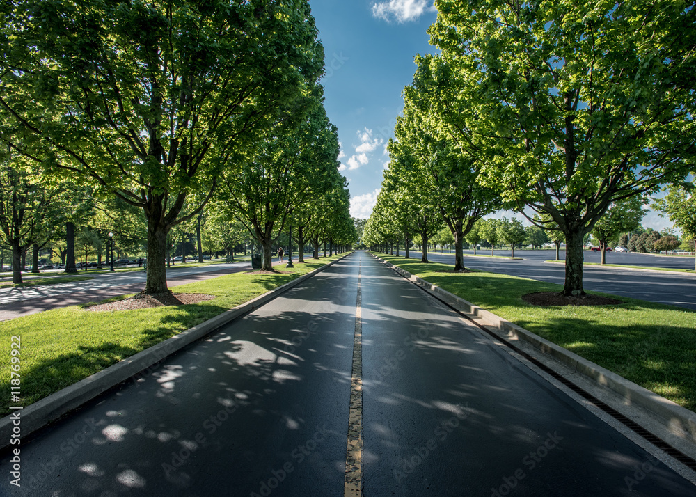 The Road Leaving Keeneland