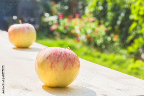 Two apples on a wooden table in a flowering garden