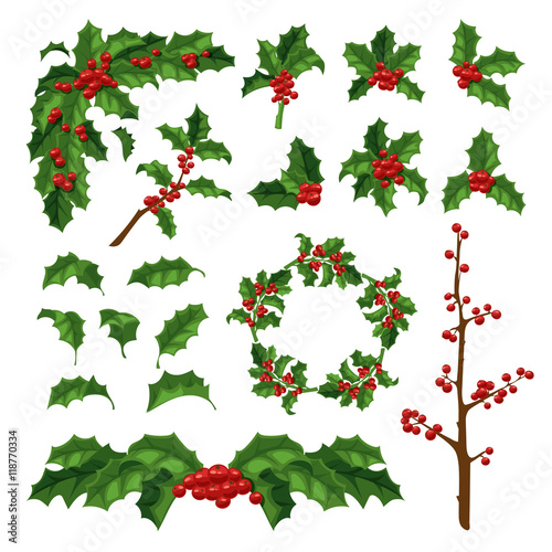 Christmas berry decoration vector set.