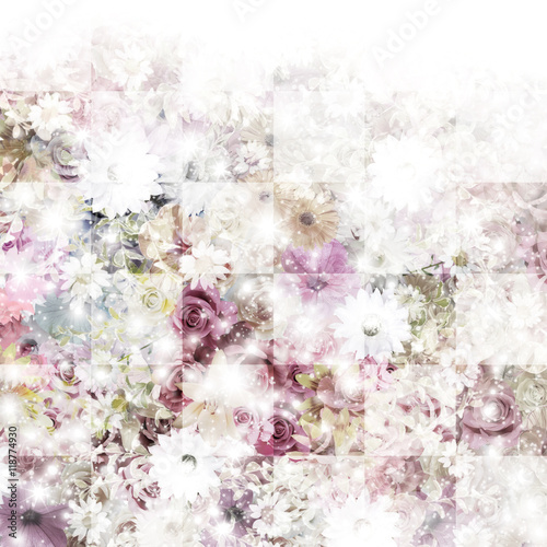 Colorful flowers background