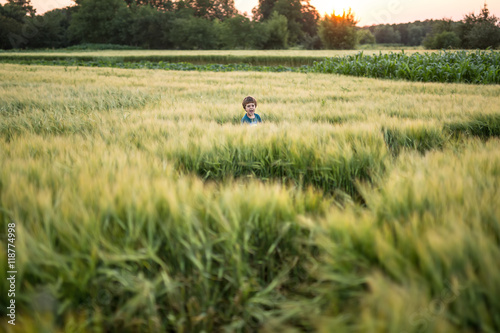 Child in rye field