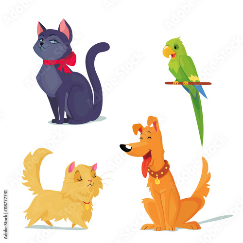 cats, dog and parrot vector illustration.