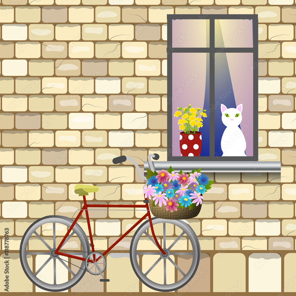 Bike under window