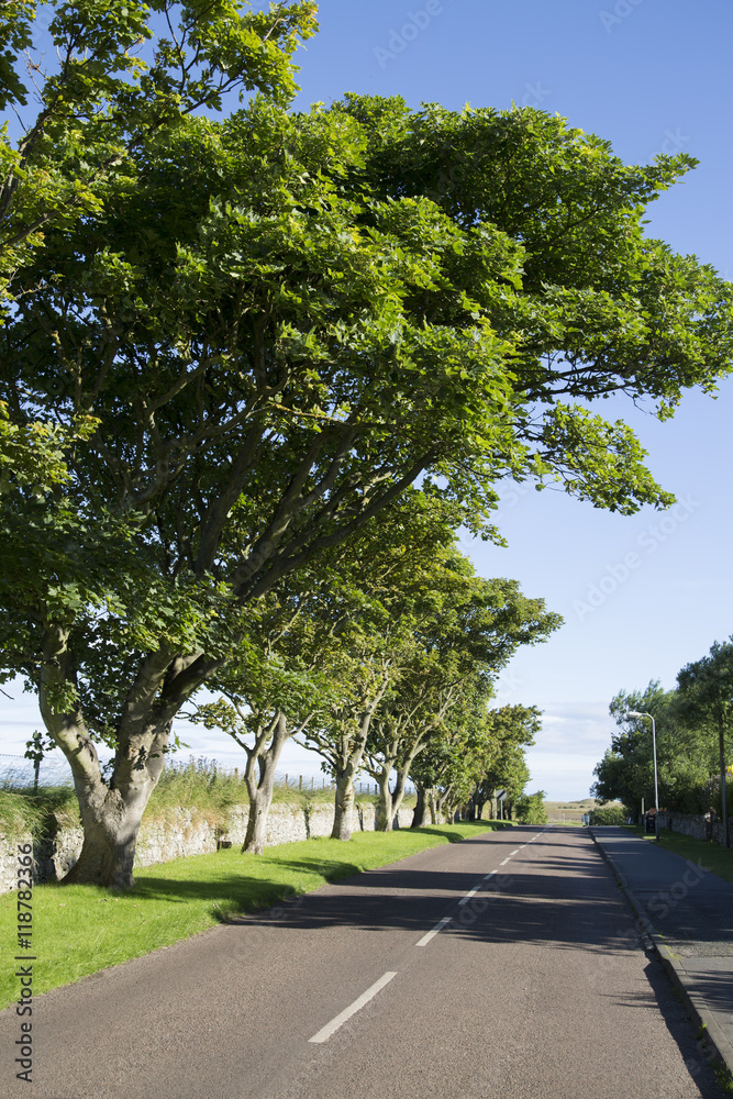 Open Road, Lindisfarne; Holy Island; Open Road, Lindisfarne; Holy Island;