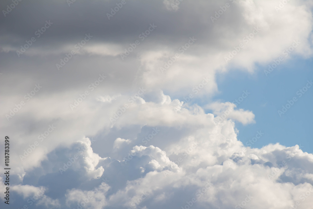 Obraz premium The summer sky