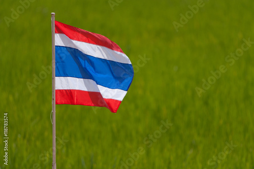 Thaiflag and rice field