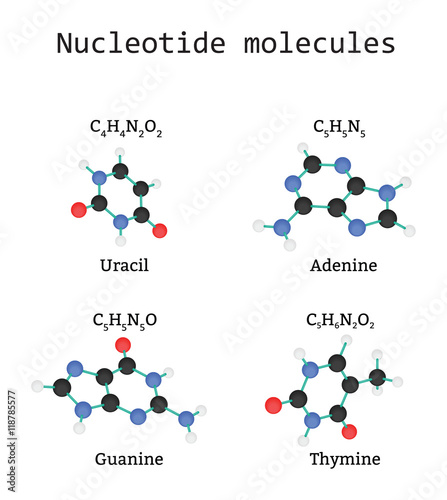Neurotransmitter molecules set