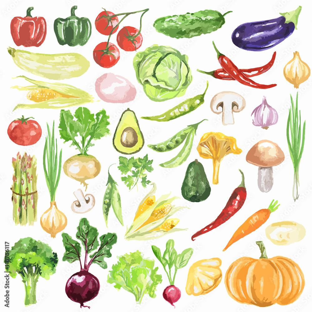 Watercolor vegetables set. Fresh and healthy vegetables on white background. Great source of vitamin.