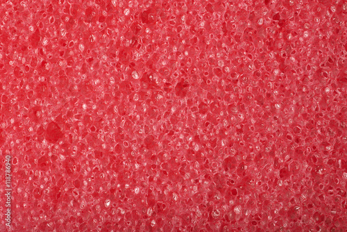 Close-up texture of a sponge