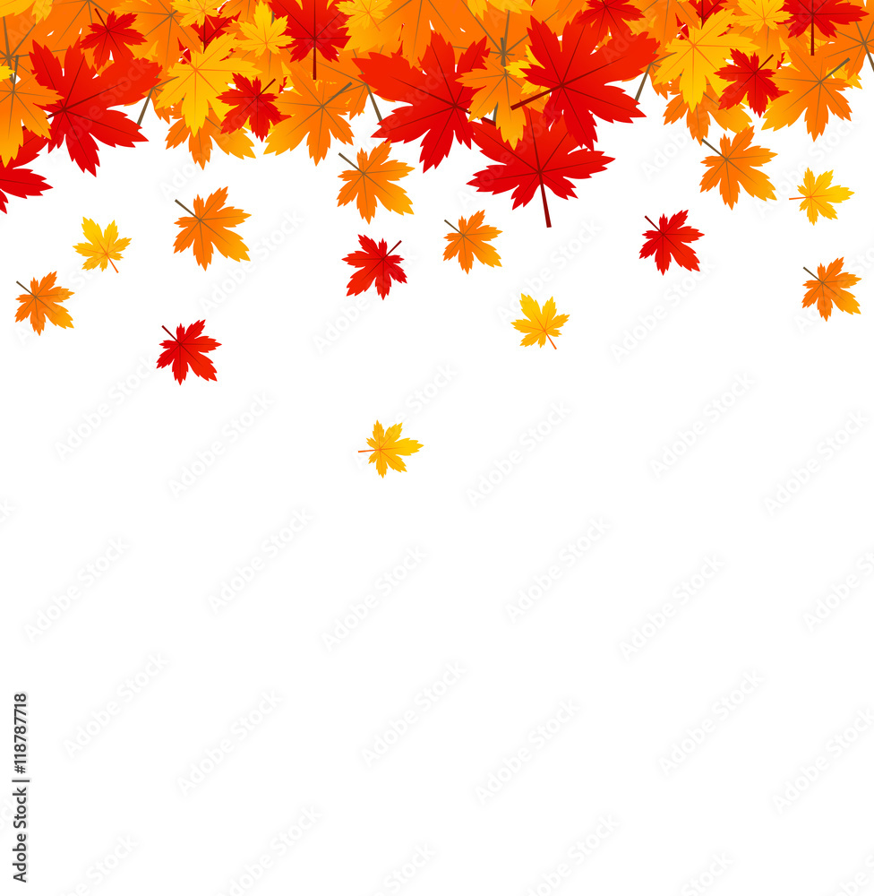 Background with maple autumn leaves