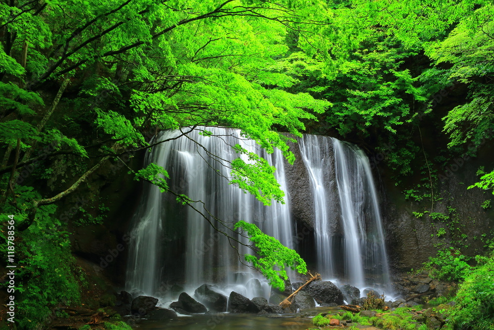 Fototapeta premium 夏の達沢不動滝
