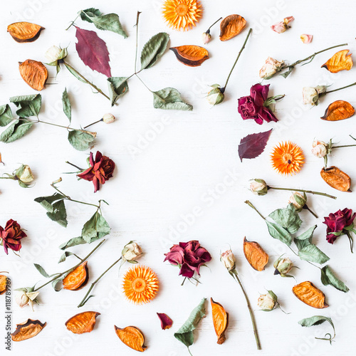 frame made of dried flowers and autumn leaves  top view  flat lay