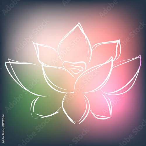 Background with lotus in modern interesting colors, vector illustration