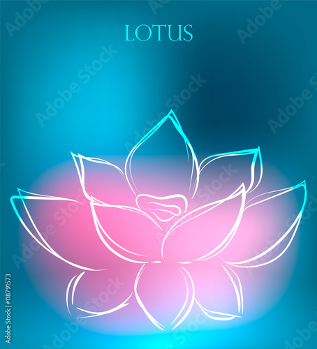 Fototapeta Naklejka Na Ścianę i Meble -  Background with lotus in beautiful colors, vector illustration