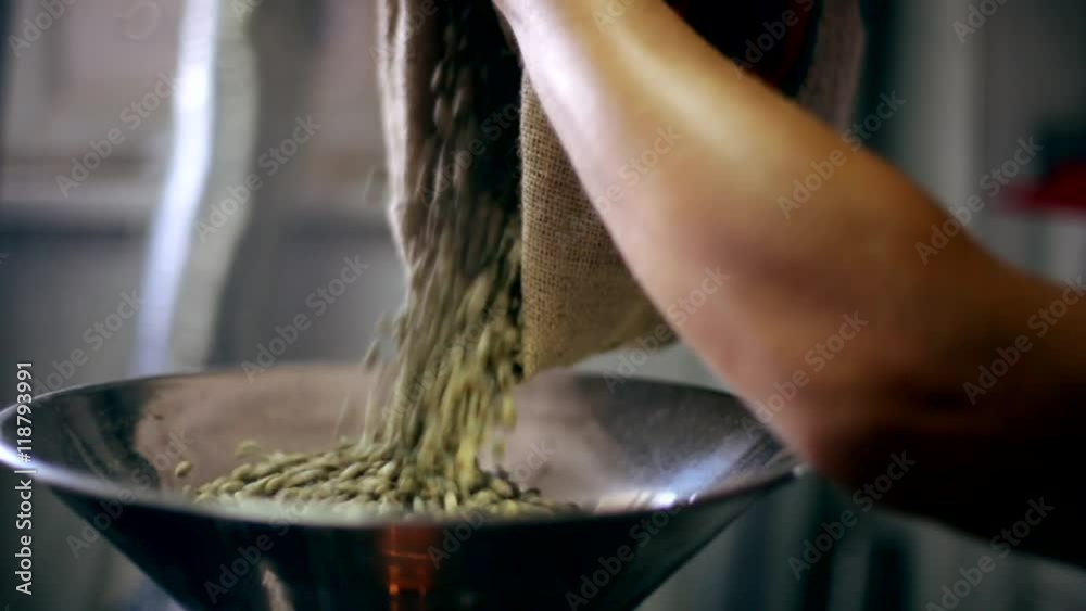 Green coffee beans are poured into a roasting pan Green coffee beans are poured into a roasting pan