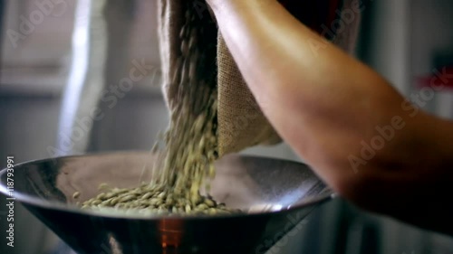 Green coffee beans are poured into a roasting pan