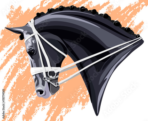 Black Dressage Horse head on pink background