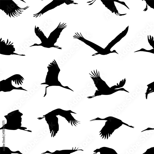 Seamless pattern - stork solhouettes