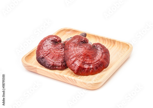 ganoderma lucidum mushroom on wooden plate isolated in white bac photo