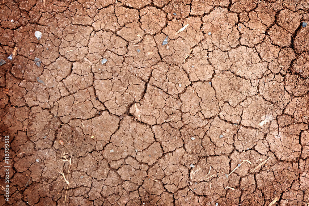 Fototapeta premium Dry ground wallpaper