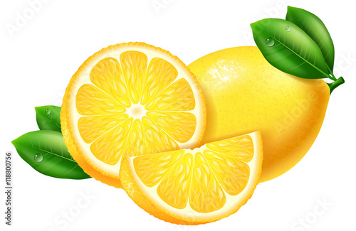 Lemon, slices and whole. Vector illustration.