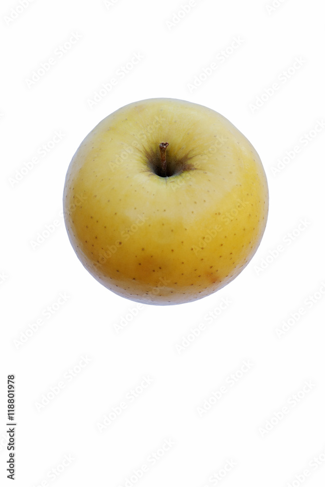Golden Delicious apple (Malus domestica Golden Delicious). Image of single apple isolated on white background Golden Delicious apple (Malus domestica Golden Delicious). Image of single apple isolated on white background