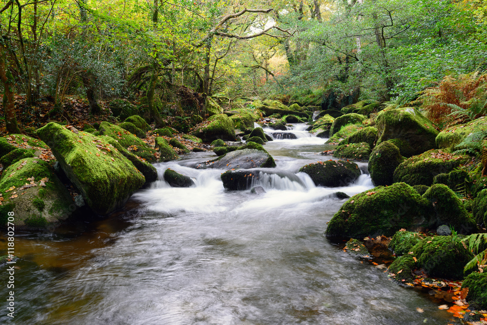 Obraz premium The River Plym