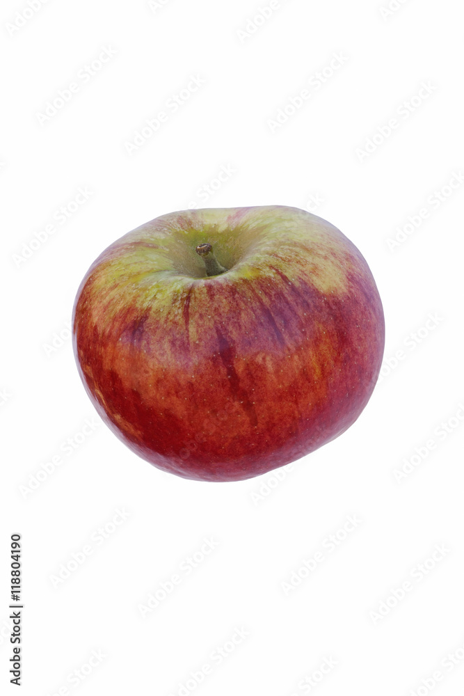 Cortland apple (Malus domestica Cortland). Hybrid between Ben Davis and McIntosh apples. Image of single apple isolated on white background Cortland apple (Malus domestica Cortland). Hybrid between Ben Davis and McIntosh apples. Image of single apple isolated on white background