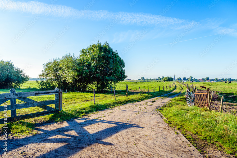 Narrow path between the fences of meadows in the Netherlands Narrow path between the fences of meadows in the Netherlands