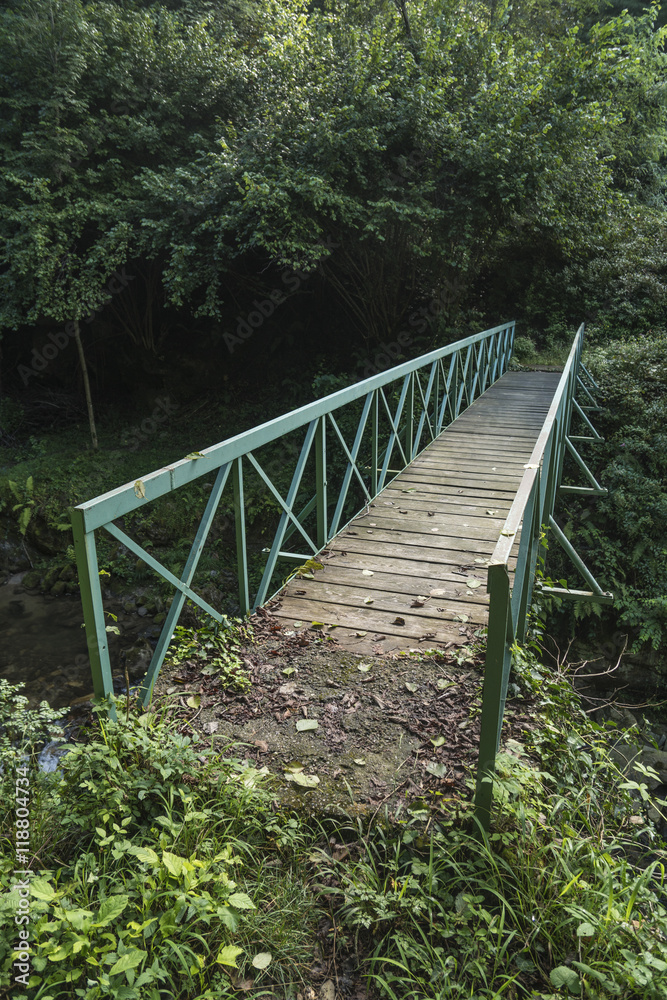 Old pedestrian bridge in the woods Old pedestrian bridge in the woods