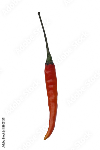 Thai hot pepper (Capsicum annuum Thai hot pepper). Called Bird eye chili, Bird's chili, Thai chili, Thai dragon and Boonie pepper also. Image of single pepper isolated on white background