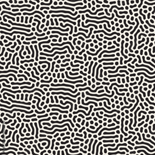 Vector Seamless Black and White Organic Lines Pattern