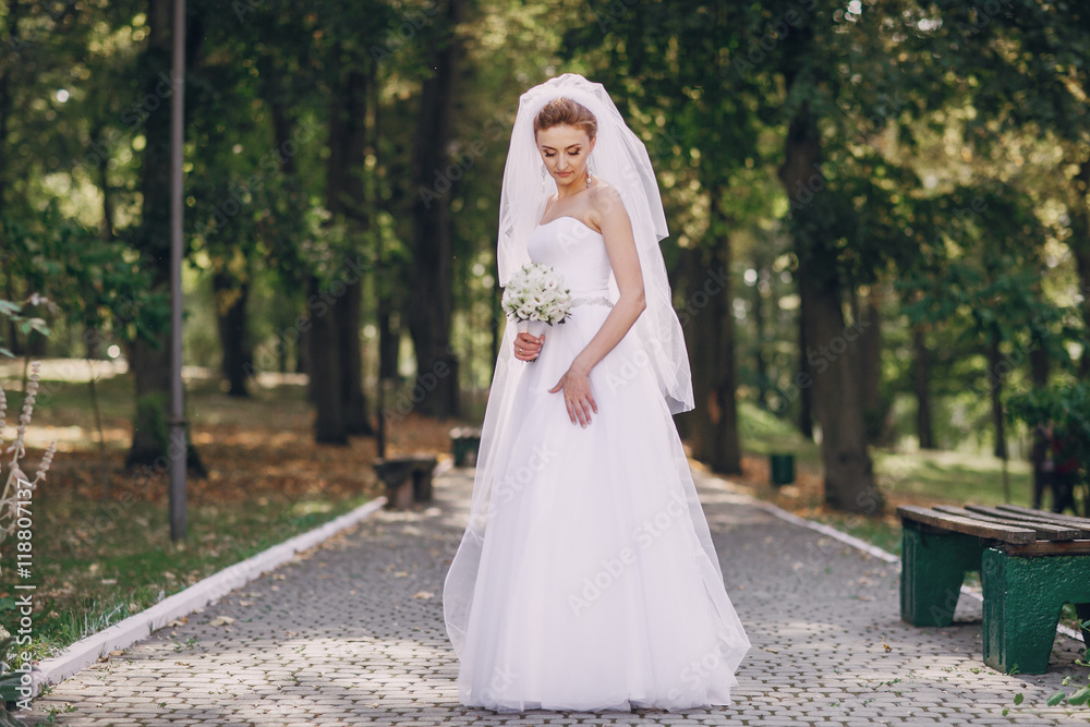 wedding day HD wedding day HD