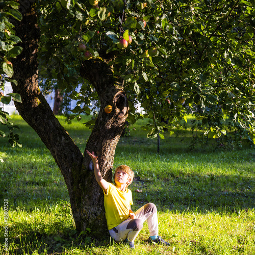 Little boy sitting under an apple tree in the rays of the setting sun
