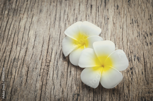 Plumeria flowers on wooden background with vintage tone