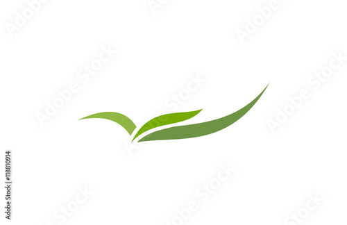 green organic leaf logo