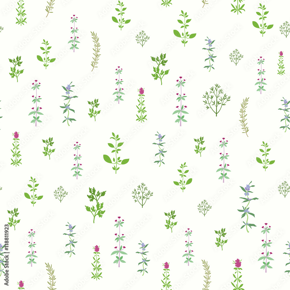Spice Herbs Cooking Theme Seamless Background Spice Herbs Cooking Theme Seamless Background