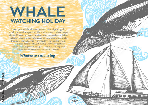 Nautical vector illustration drawn in ink. Frigate and whales on the waves. Sea design template. Whale watching holiday.